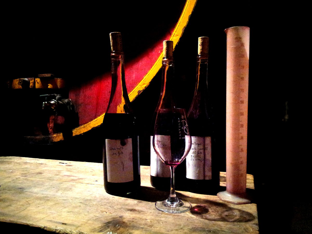 vinification-vins-collioure